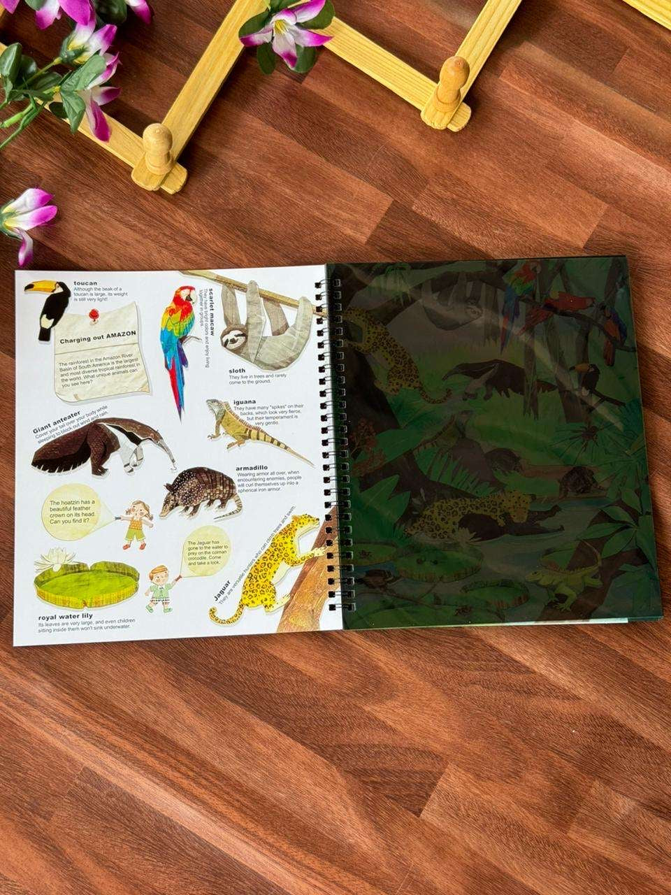 Flashlight Searching Book - Image 4