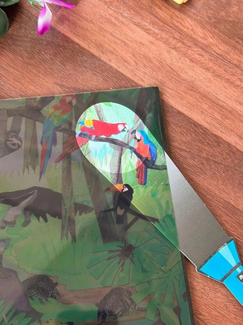 Flashlight Searching Book - Image 5
